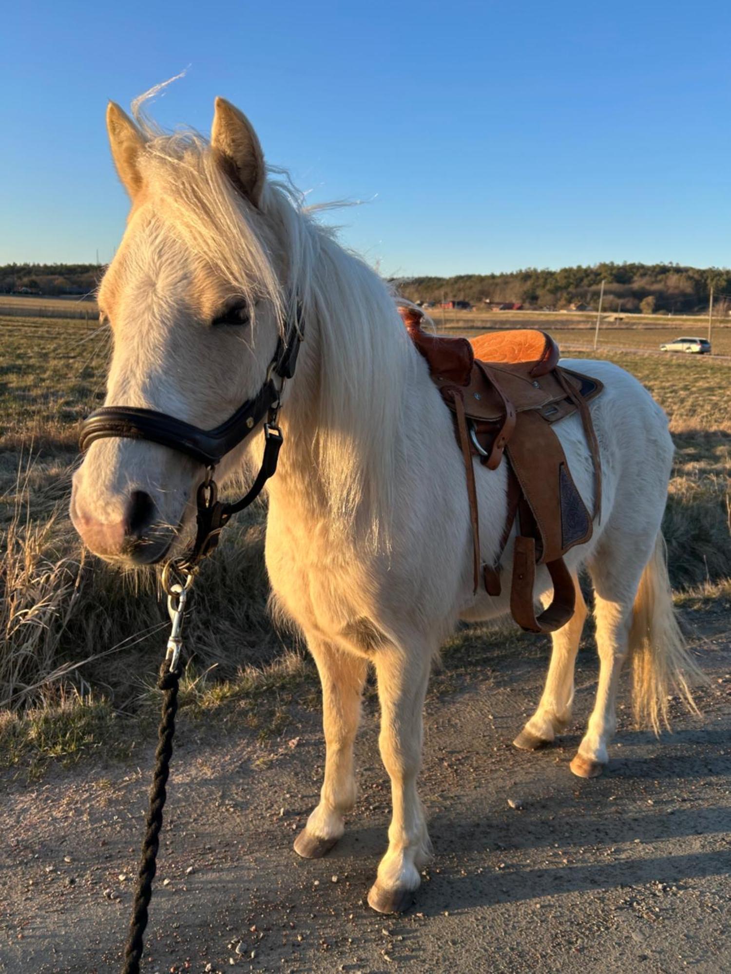Johannas Ranch Lgh Ovan Stallet Kullavik Eksteriør billede